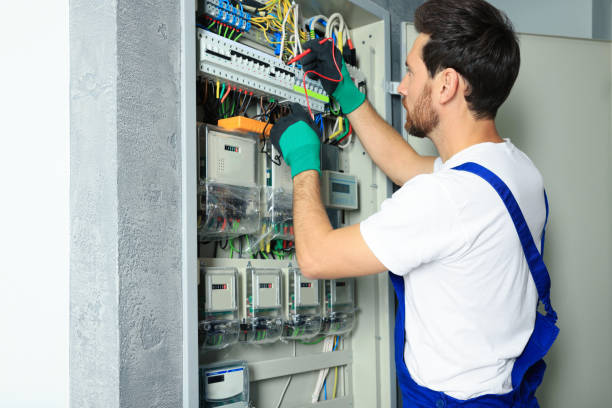 Best Electric Panel Repair  in Oran, MO